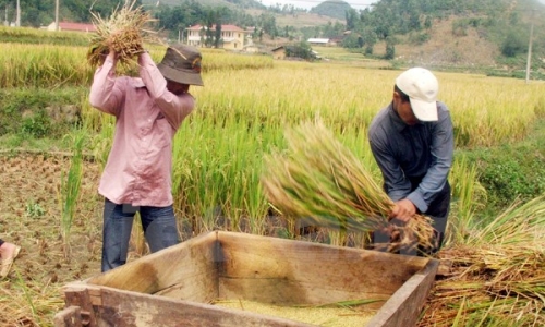 Ngân hàng Thế giới ra mắt bản đồ chỉ số nghèo ở Việt Nam